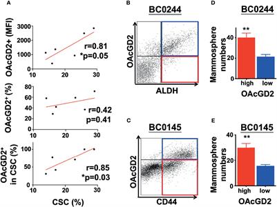 O-Acetyl-GD2 as a Therapeutic Target for Breast Cancer Stem Cells